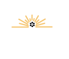 image?src=%7B%22file%22%3A%22wp content%2Fuploads%2F2022%2F01%2Fsimarya logo